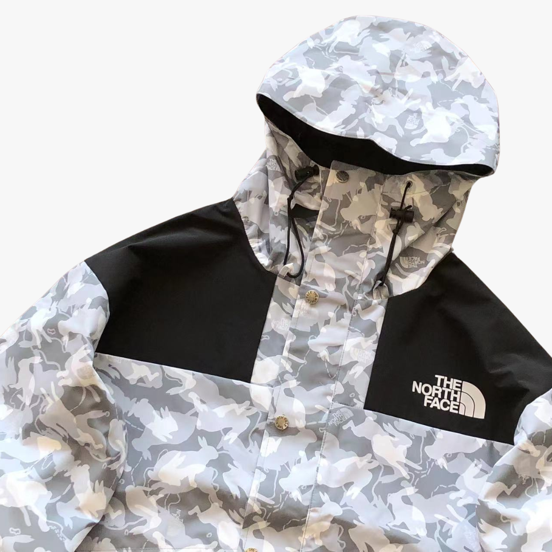 TNF x Kaws White Dryvent Jacket