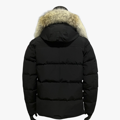 Black/ Red Label Wyndham Hooded Puffer Jacket