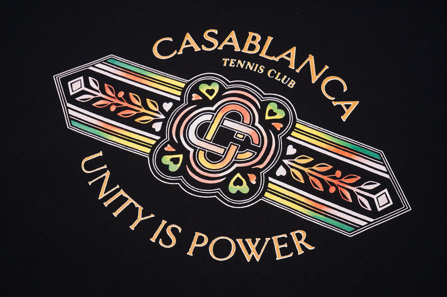 Unity is Power 2 Colorways Tees