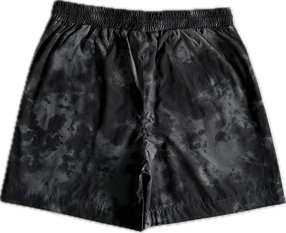 Washed Arch Iced Shorts